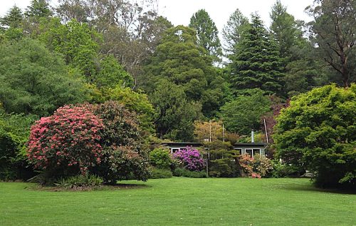 Home back of tearooms and lawn